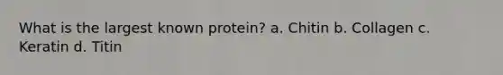 What is the largest known protein? a. Chitin b. Collagen c. Keratin d. Titin