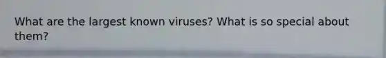 What are the largest known viruses? What is so special about them?