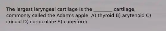 The largest laryngeal cartilage is the ________ cartilage, commonly called the Adam's apple. A) thyroid B) arytenoid C) cricoid D) corniculate E) cuneiform