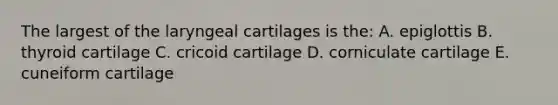 The largest of the laryngeal cartilages is the: A. epiglottis B. thyroid cartilage C. cricoid cartilage D. corniculate cartilage E. cuneiform cartilage