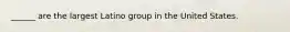 ______ are the largest Latino group in the United States.