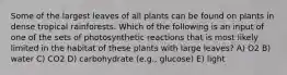 Some of the largest leaves of all plants can be found on plants in dense tropical rainforests. Which of the following is an input of one of the sets of photosynthetic reactions that is most likely limited in the habitat of these plants with large leaves? A) O2 B) water C) CO2 D) carbohydrate (e.g., glucose) E) light