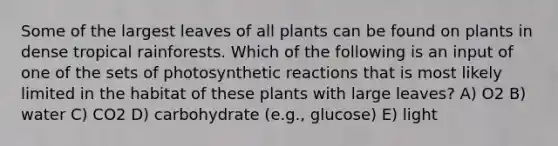 Some of the largest leaves of all plants can be found on plants in dense tropical rainforests. Which of the following is an input of one of the sets of photosynthetic reactions that is most likely limited in the habitat of these plants with large leaves? A) O2 B) water C) CO2 D) carbohydrate (e.g., glucose) E) light