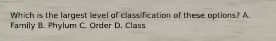 Which is the largest level of classification of these options? A. Family B. Phylum C. Order D. Class