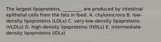 The largest lipoproteins, ________, are produced by intestinal epithelial cells from the fats in food. A. chylomicrons B. low-density lipoproteins (LDLs) C. very-low-density lipoproteins (VLDLs) D. high-density lipoproteins (HDLs) E. intermediate-density lipoproteins (IDLs)