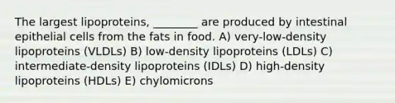 The largest lipoproteins, ________ are produced by intestinal epithelial cells from the fats in food. A) very-low-density lipoproteins (VLDLs) B) low-density lipoproteins (LDLs) C) intermediate-density lipoproteins (IDLs) D) high-density lipoproteins (HDLs) E) chylomicrons