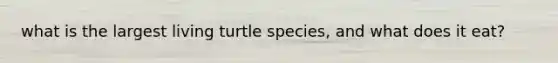 what is the largest living turtle species, and what does it eat?