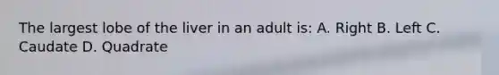 The largest lobe of the liver in an adult is: A. Right B. Left C. Caudate D. Quadrate
