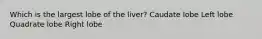 Which is the largest lobe of the liver? Caudate lobe Left lobe Quadrate lobe Right lobe