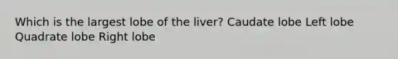 Which is the largest lobe of the liver? Caudate lobe Left lobe Quadrate lobe Right lobe