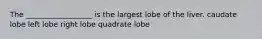 The __________________ is the largest lobe of the liver. caudate lobe left lobe right lobe quadrate lobe