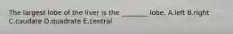 The largest lobe of the liver is the ________ lobe. A.left B.right C.caudate D.quadrate E.central