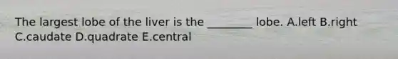 The largest lobe of the liver is the ________ lobe. A.left B.right C.caudate D.quadrate E.central