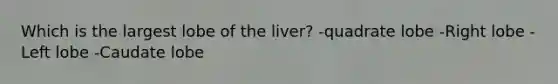 Which is the largest lobe of the liver? -quadrate lobe -Right lobe -Left lobe -Caudate lobe