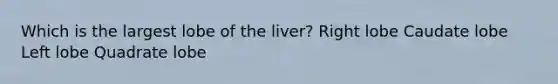 Which is the largest lobe of the liver? Right lobe Caudate lobe Left lobe Quadrate lobe