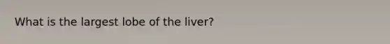 What is the largest lobe of the liver?