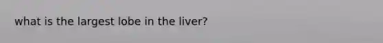 what is the largest lobe in the liver?