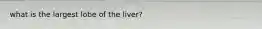 what is the largest lobe of the liver?