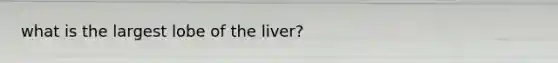 what is the largest lobe of the liver?