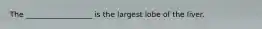 The __________________ is the largest lobe of the liver.