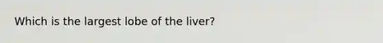 Which is the largest lobe of the liver?