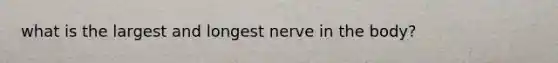 what is the largest and longest nerve in the body?