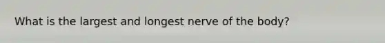 What is the largest and longest nerve of the body?