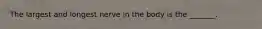 The largest and longest nerve in the body is the _______.