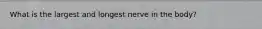 What is the largest and longest nerve in the body?