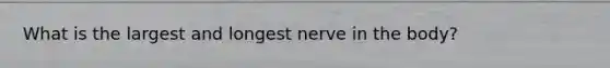 What is the largest and longest nerve in the body?