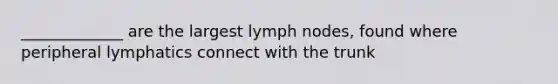 _____________ are the largest lymph nodes, found where peripheral lymphatics connect with the trunk