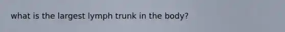 what is the largest lymph trunk in the body?
