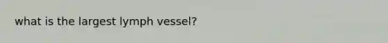 what is the largest lymph vessel?