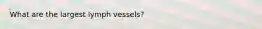 What are the largest lymph vessels?