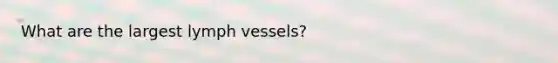 What are the largest lymph vessels?