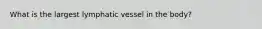 What is the largest lymphatic vessel in the body?
