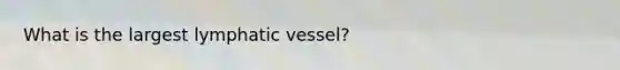 What is the largest lymphatic vessel?