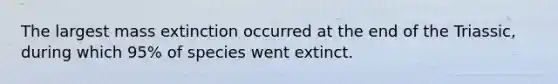 The largest mass extinction occurred at the end of the Triassic, during which 95% of species went extinct.