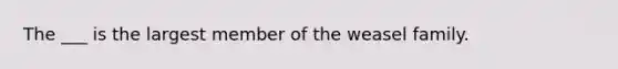 The ___ is the largest member of the weasel family.