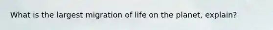 What is the largest migration of life on the planet, explain?