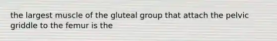 the largest muscle of the gluteal group that attach the pelvic griddle to the femur is the