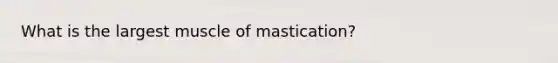 What is the largest muscle of mastication?