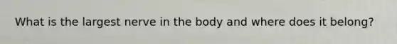 What is the largest nerve in the body and where does it belong?