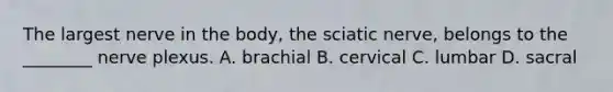 The largest nerve in the body, the sciatic nerve, belongs to the ________ nerve plexus. A. brachial B. cervical C. lumbar D. sacral