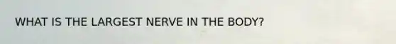 WHAT IS THE LARGEST NERVE IN THE BODY?