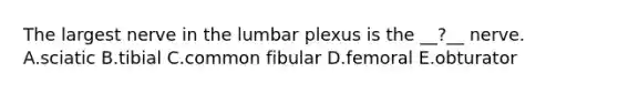 The largest nerve in the lumbar plexus is the __?__ nerve. A.sciatic B.tibial C.common fibular D.femoral E.obturator