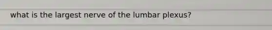 what is the largest nerve of the lumbar plexus?