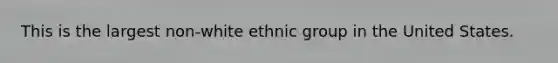 This is the largest non-white ethnic group in the United States.