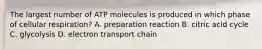 The largest number of ATP molecules is produced in which phase of cellular respiration? A. preparation reaction B. citric acid cycle C. glycolysis D. electron transport chain