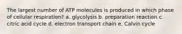 The largest number of ATP molecules is produced in which phase of cellular respiration? a. glycolysis b. preparation reaction c. citric acid cycle d. electron transport chain e. Calvin cycle